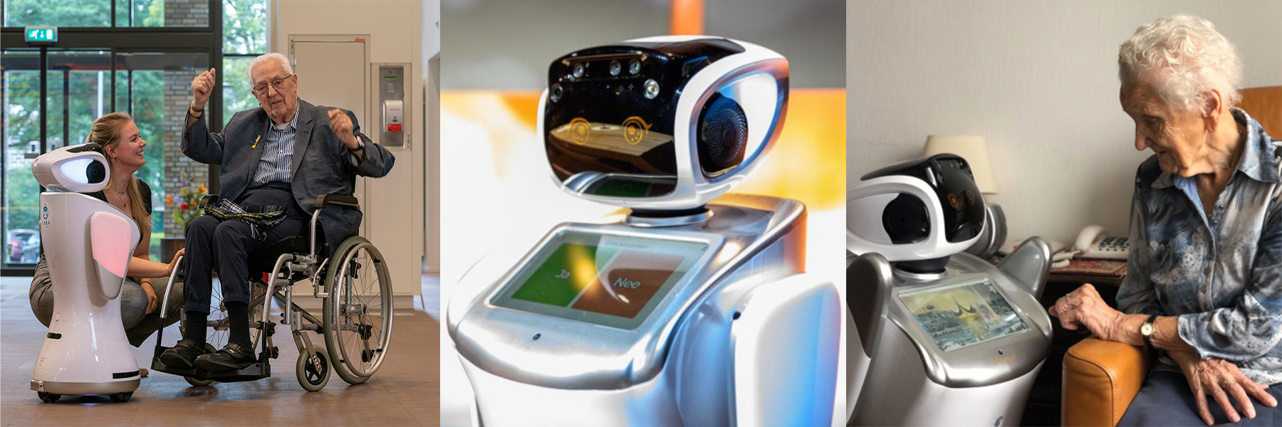 SARA Robots